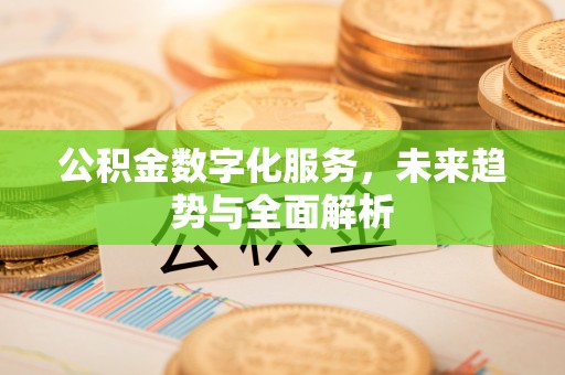 杂多公积金数字化服务，未来趋势与全面解析