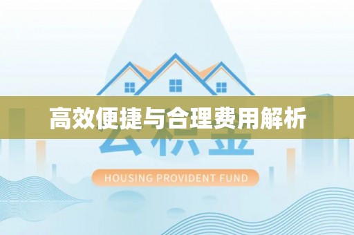 杂多高效便捷与合理费用解析