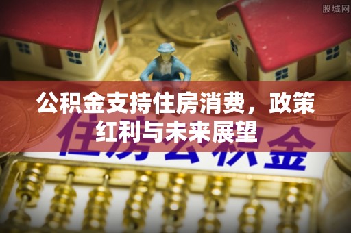 杂多公积金支持住房消费，政策红利与未来展望
