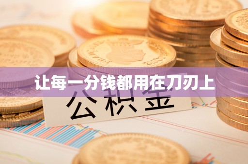 杂多让每一分钱都用在刀刃上