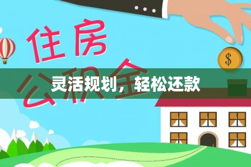 杂多灵活规划，轻松还款