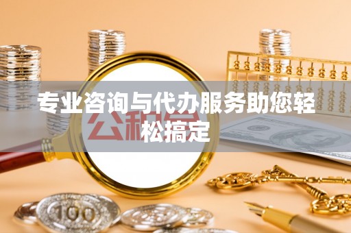 杂多专业咨询与代办服务助您轻松搞定