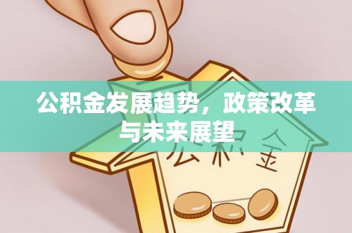 杂多公积金发展趋势，政策改革与未来展望