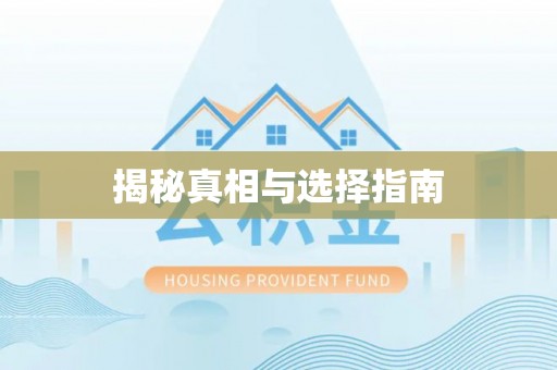 杂多揭秘真相与选择指南