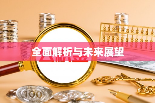 杂多全面解析与未来展望