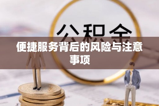 杂多便捷服务背后的风险与注意事项