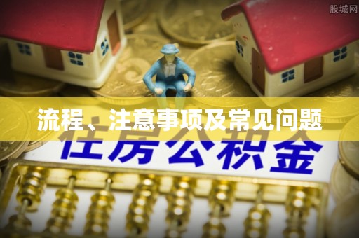 杂多流程、注意事项及常见问题