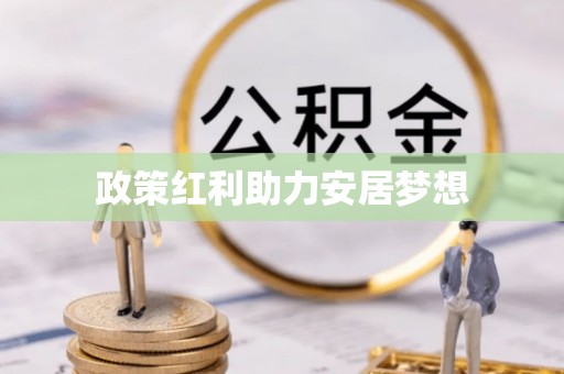 杂多政策红利助力安居梦想