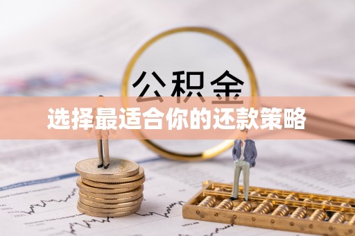 杂多选择最适合你的还款策略