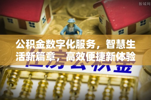 杂多公积金数字化服务，智慧生活新篇章，高效便捷新体验