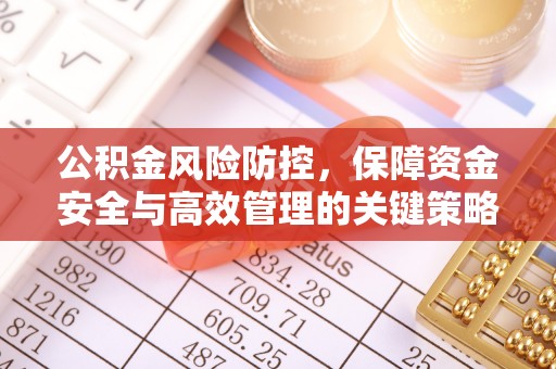 杂多公积金风险防控，保障资金安全与高效管理的关键策略