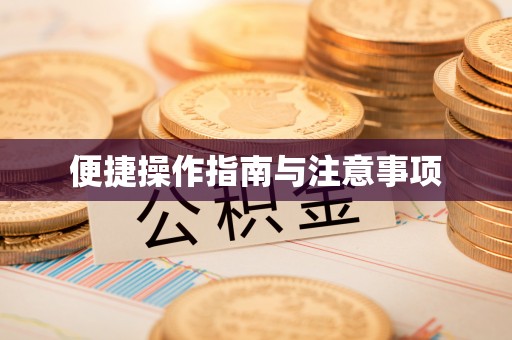 杂多便捷操作指南与注意事项